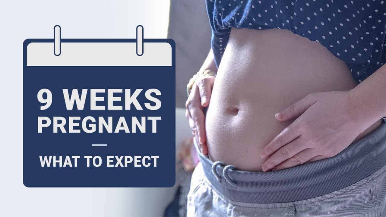 9 Weeks Pregnant Symptoms Baby Development And Tips 