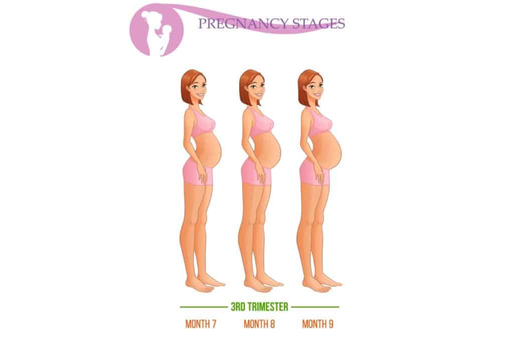 Third Trimester of Pregnancy Trimester Weeks: Tips 
